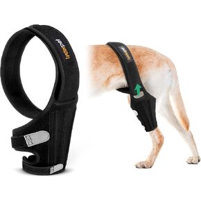 Dog Knee Brace for Torn ACL Hind Leg, Rear Leg Cruciate Ligament Braces for Dogs, Strong Support to Reduce Joint Pain and Muscle Sore, with Side Stabilizers for Back Leg Large
