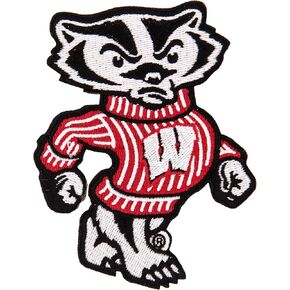Desert Cactus University of Wisconsin Patch – Embroidered Iron On/Sew On Applique for Blazers, Jackets, Backpacks, Bags, Hats & Tactical Gear – Badgers UW Madison (Patch - Design D)