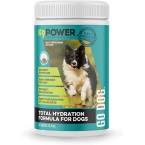 K9 Power Go Dog Hydration & Performance Drink Mix 1 lb - Active Dog Supplement for Muscle Function, Endurance, Recovery, with Electrolytes Support