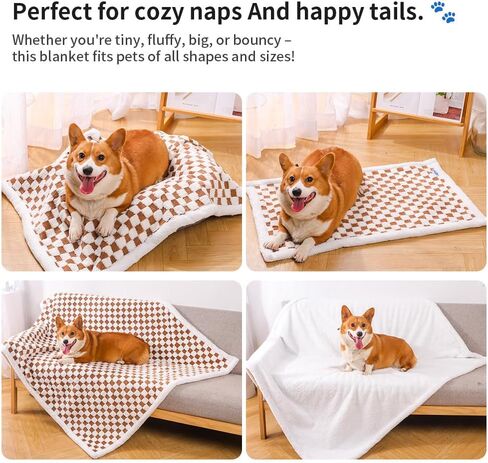 Ultra-Soft Pet Blanket - Waterproof Dog Blanket, Cat Blanket, Perfect for Dog Beds and Dog Crates, Machine Washable and Durable (Black, M30*40inc) in Saudi Arabia