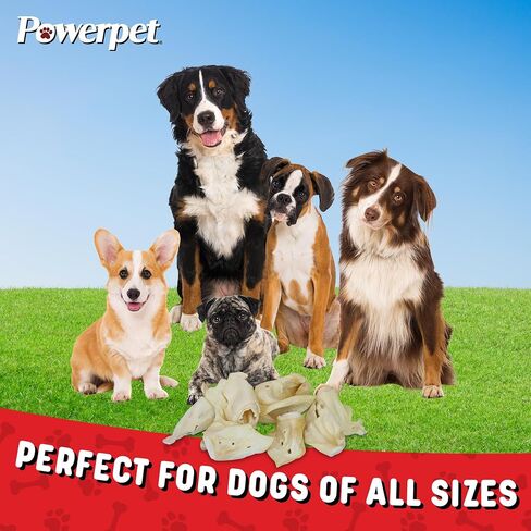 Powerpet Beef Ears for Dogs - Premium Quality Treats, Low Fat, High Protein, Long-Lasting Chews - Easy Digestion- Healthy & Clean Teeth & Gums - for All Breed Size- 100% Natural Cow Flavor, Pack of 25 in Kuwait