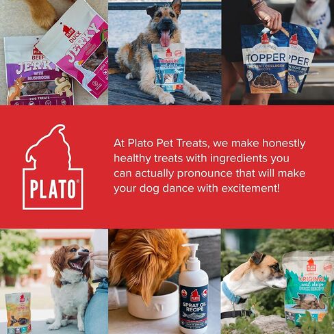 PLATO Pet Treats Jerky Dog Treats - Air-Dried Jerky for Dogs - Delicious, Real Meat Dog Treats - Grain Free - Supports Healthy Digestion - Chicken Jerky with Pumpkin 16oz in Saudi Arabia