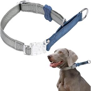 BELLA & PAL Slip Martingale Collar for Dogs, Limited Slip Design, Reflective, Escape-Proof, Gentle Control, Adjustable Training Collar with Quick-Release Strong Buckle, Nylon, Large