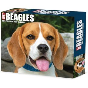 Willow Creek Press Beagles Daily 2025 Box/Desk Calendar (5.86" x 4.72")