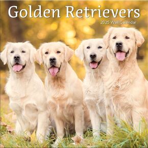 TURNER PHOTOGRAPHIC Golden Retrievers 12x12 Photo Wall Calendar (25998940022)