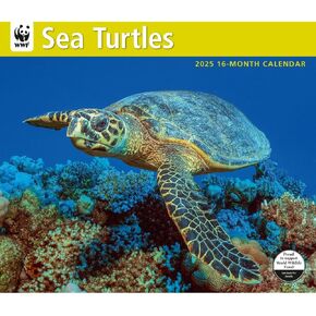 Calendar Ink, Sea Turtles WWF 2025 Wall Calendar