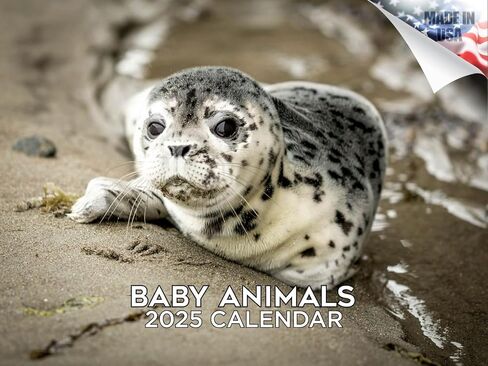 Trump Calendar 2025 Donald Trump Gifts 45 47 President Monthly Wall Calender 12 Month - MAGA - Made In The USA in Saudi Arabia