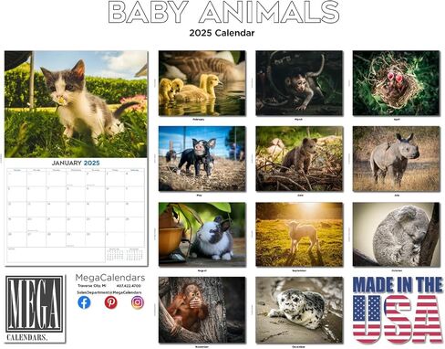 Trump Calendar 2025 Donald Trump Gifts 45 47 President Monthly Wall Calender 12 Month - MAGA - Made In The USA in Saudi Arabia