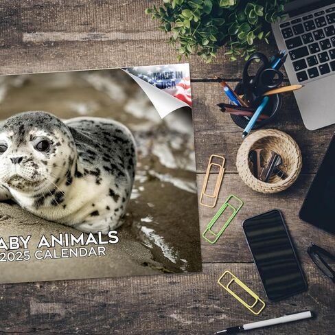 Trump Calendar 2025 Donald Trump Gifts 45 47 President Monthly Wall Calender 12 Month - MAGA - Made In The USA in Saudi Arabia
