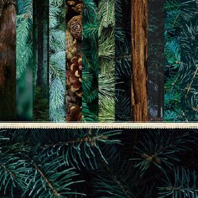 24 Sheets Pine Pattern Paper, 6" x 6" Forest Scrapbooking Supplies Paper Decorative Craft Paper for DIY Card Making Photo Album Junk Journal Décor