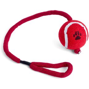Petface Super Tennis Balls Dog Toy