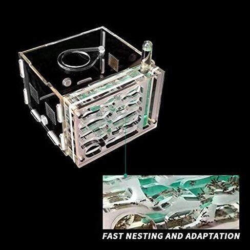 ANT FARM ACRYLIC NEST AREA KIT للأطفال والهواة ، مع برج مائي وساحة الأعلاف مناسبة لمحبي النمل المبتدئين in Kuwait
