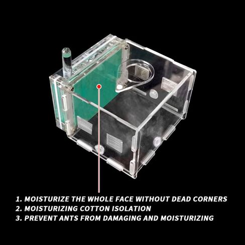 ANT FARM ACRYLIC NEST AREA KIT للأطفال والهواة ، مع برج مائي وساحة الأعلاف مناسبة لمحبي النمل المبتدئين in Kuwait