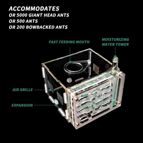 ANT FARM ACRYLIC NEST AREA KIT للأطفال والهواة ، مع برج مائي وساحة الأعلاف مناسبة لمحبي النمل المبتدئين in Kuwait