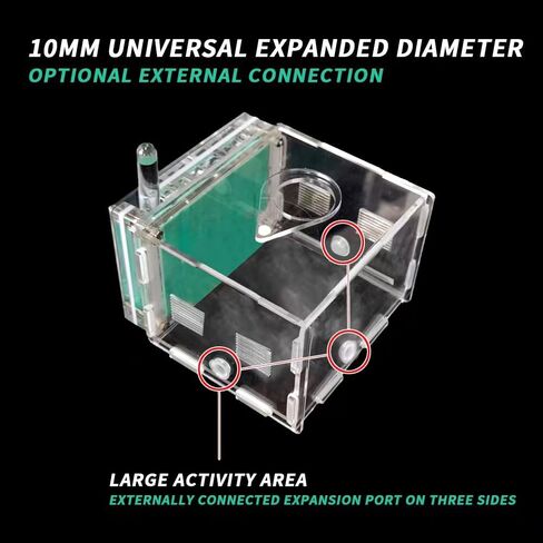 ANT FARM ACRYLIC NEST AREA KIT للأطفال والهواة ، مع برج مائي وساحة الأعلاف مناسبة لمحبي النمل المبتدئين in Kuwait