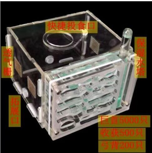 ANT FARM ACRYLIC NEST AREA KIT للأطفال والهواة ، مع برج مائي وساحة الأعلاف مناسبة لمحبي النمل المبتدئين in Kuwait