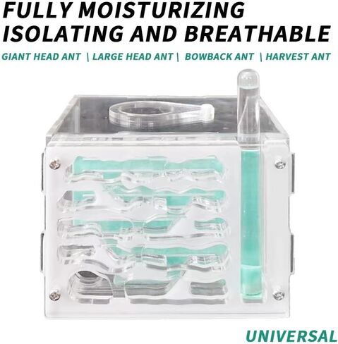 ANT FARM ACRYLIC NEST AREA KIT للأطفال والهواة ، مع برج مائي وساحة الأعلاف مناسبة لمحبي النمل المبتدئين in Kuwait