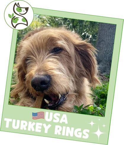 Nature Gnaws USA Turkey Tendons Dog Treats, 4 oz in Kuwait