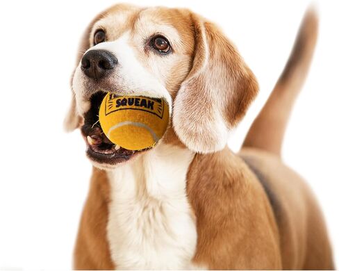 Petsport 12 Pack Small (1.8 ") كرات صغار صغار للكلاب | شعر متين غير سامة ومطاط | لعب جلب أو إطلاق أو تشاك أو إرم في حديقة الكلاب in Kuwait