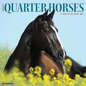 Willow Creek Press American Quarter Horses Monthly 2025 Wall Calendar (12" x 12")