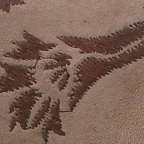 أحذية Klogs Footwear Austin النسائية - أحذية مقاومة للانزلاق لمحترفي الرعاية الصحية وخدمات الطعام - نعل TRUCOMFORT قابل للإزالة - راحة ودعم طوال اليوم in Kuwait