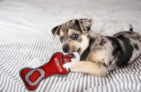 Pets First NCAA Georgia Bulldogs Dental Dog TUG Toy with Squeaker. Tough PET Toy for Healthy Fun, Teething & Cleaning Pets Teeth & Gum in Saudi Arabia