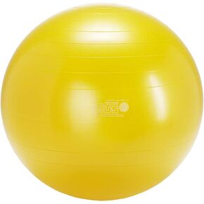 GYMNIC Classic Plus Burst-Resistant Exercise Ball