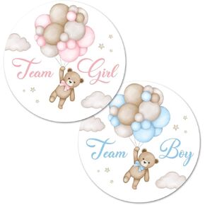 Boho Teddy Bear Balloons Team Girl, Team Boy Gender Reveal Stickers - 40 Labels (20 of Each Design)