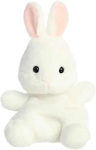 حزم زملاء Aurora Palm - استعد لعيد الفصح !! (بيضة وئام/أرنب Cottontail) ، 5 '' in Kuwait