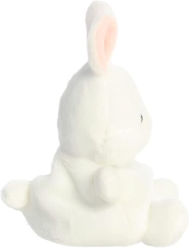 حزم زملاء Aurora Palm - استعد لعيد الفصح !! (بيضة وئام/أرنب Cottontail) ، 5 '' in Kuwait