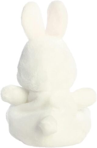 حزم زملاء Aurora Palm - استعد لعيد الفصح !! (بيضة وئام/أرنب Cottontail) ، 5 '' in Kuwait