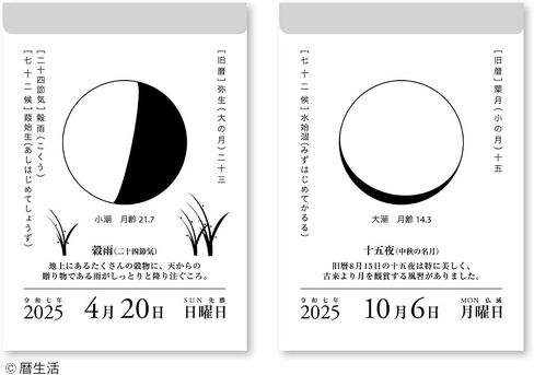 NK8812 New Japan Calendar 2025 Calendar Day Trip Month and Calendar 6.9 x 3.7 inches (175 x 95 mm) in Saudi Arabia