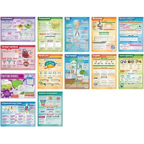 Daydream Education Biology Science Posters - Set of 13 - EXTRA LARGE 33" x 23.5" - Laminated - STEM Middle & High School Classroom Decoration - Wall Charts