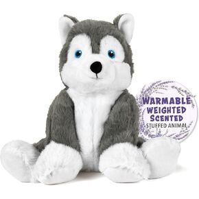 Warm Pals - Hayes Husky - 1.5lbs - Cozy Microwavable Lavender Scented Plush Toys - Heated Stuffed Animal - Heatable Coolable Bedtime Comfort Plushie