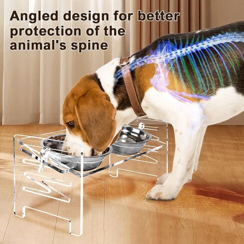 Acrylic Elevated Dog Bowls Stand 6 Height Options, Adjustable Raised Cats Bowls Stand with 2 Thick 18 oz Stainless Steel Bowls, Durable Dog Feeder Bowls for Small Dogs Cats Gift in Saudi Arabia