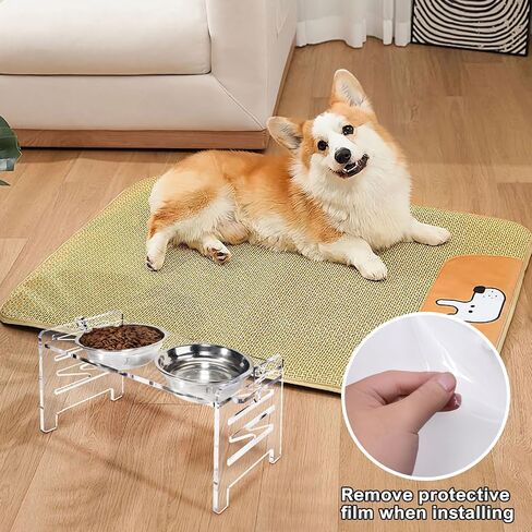 Acrylic Elevated Dog Bowls Stand 6 Height Options, Adjustable Raised Cats Bowls Stand with 2 Thick 18 oz Stainless Steel Bowls, Durable Dog Feeder Bowls for Small Dogs Cats Gift in Saudi Arabia