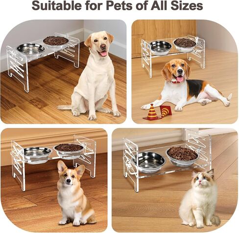 Acrylic Elevated Dog Bowls Stand 6 Height Options, Adjustable Raised Cats Bowls Stand with 2 Thick 18 oz Stainless Steel Bowls, Durable Dog Feeder Bowls for Small Dogs Cats Gift in Saudi Arabia