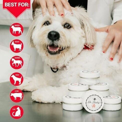 Dr. Bailey's Miracle Cream - 4 أوقية مرهم موضعي | العلاج الساخن للكلاب والقطط والحيوانات | علاج تهيج جلد الكلب | رعاية الجرح الحيوان in Kuwait