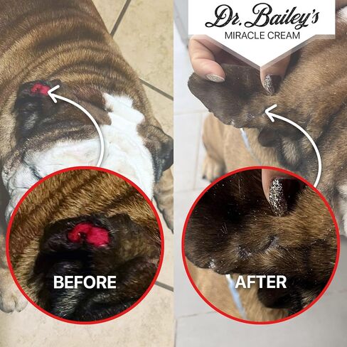 Dr. Bailey's Miracle Cream - 4 أوقية مرهم موضعي | العلاج الساخن للكلاب والقطط والحيوانات | علاج تهيج جلد الكلب | رعاية الجرح الحيوان in Kuwait