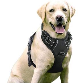 Dog Chest Harness Anti-Break Out Burst Dog Reflective Dog Harness Set Medium sized, Black