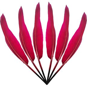 LWINGFLYER 25pcs 10"-12" Long Goose Feathers Quill for Pen Craft Festival Halloween Hats Costumes Decorations (Natural)