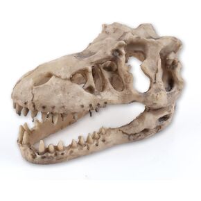 Dinosaur Skull Aquarium Décor - Fish Tank Decoration Hideaway for Fish,Natural Look, 6.3"x4"x4" - Fun Underwater Environment!
