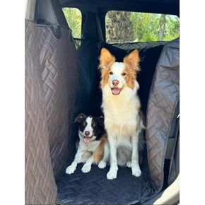 Cybertruck Pet Cover for Dogs - Dog Hammock for Cybertruck - Cybertruck Pet Liner with Door Protection, Dog Seat Cover for Back Seat of Cybertruck with Fold Up Seats (Floor Cover with Fold-Up Seats)