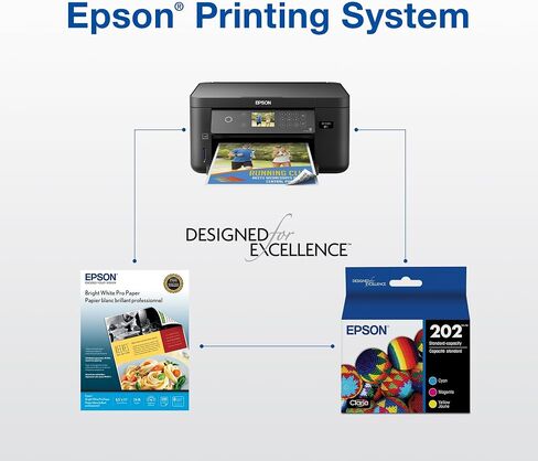 يعمل Epson 202 Claria Ink Standard Carty Cantridge (T202220-S) مع القوى العاملة WF-2860 ، التعبير XP-5100 in Kuwait
