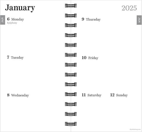 TF PUBLISHING 2025 Deep Jade Small Weekly Monthly Planner - 2-Page Large Calendar Grid and Lined Notes Section in Back - 12 Month Monthly Day Planner for Purse - 3.5" x 6.5" in Saudi Arabia