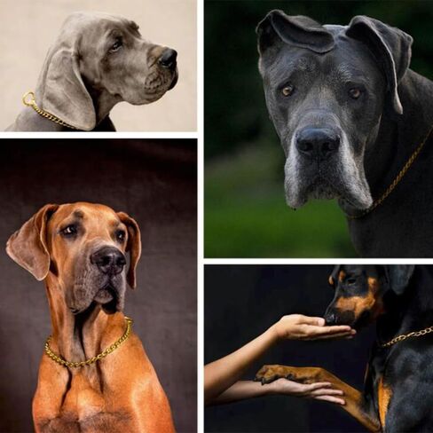 Silver Chain Dog Choke Collars for Large Dogs,Heavy Duty Training Choker Collar for Dogs Metal Slip P Link Martingale Collars Puppy Chain for XXS XS Small Medium Large Breed Dogs, M in Saudi Arabia