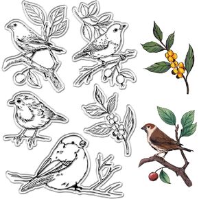 Craspire Birds on Branses Clear Clear Stamps Berry Retro Silicone Stamp Seals لألبوم الصور المصنوع يدويًا لصنع البطاقات لصنع دفني ديكور DIY Flame Frame Frame
