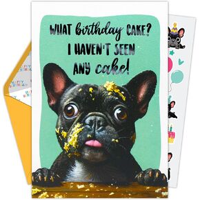 Decorably 5x7in Individual Humorous Dog Birthday Card with Embossed Design, Funny Dog Birthday Cards Set with Envelope and Stickers, with Printed Message Inside