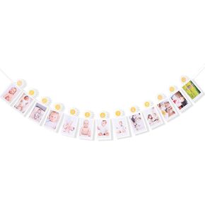 Daisy 12 Monthly Photo Banner - Daisy First Birthday Decor,Daisy Photo Banner, Groovy One Milestone Banner, One Groovy 12 Month To Newborn Banner, yellow