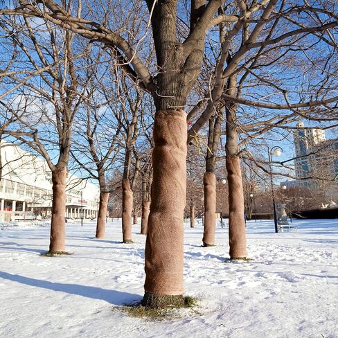 40" x 24 Feet Burlap Fabric Tree Wrap Roll Gardening Natural Burlap Fabric, Burlap Jute Fabric Blanket for Wedding Table Center Pieces Decoration Rustic Party Décor in Kuwait